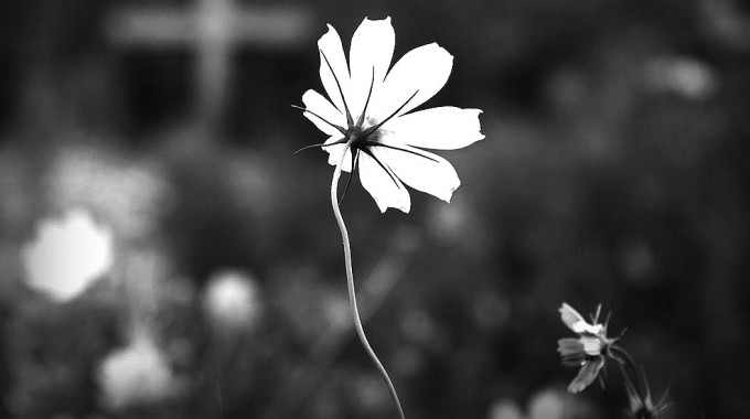 Sobre a Morte e o Morrer – (En)Cena – A Saúde Mental em Movimento