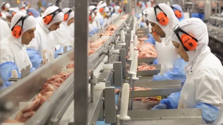 Documentário “Carne e Osso” relata o adoecimento do trabalhador – (En ...
